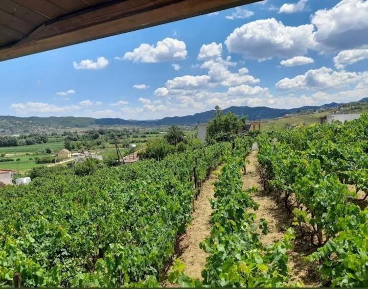 Vila Shehi Guesthouse And Winery Mucaj Exterior foto